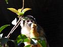 2014-07-16 12-35-20